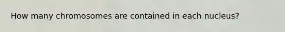 How many chromosomes are contained in each nucleus?