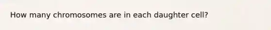 How many chromosomes are in each daughter cell?
