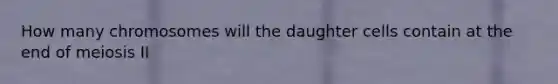 How many chromosomes will the daughter cells contain at the end of meiosis II