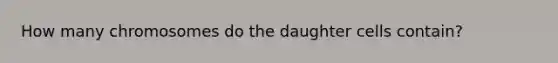 How many chromosomes do the daughter cells contain?