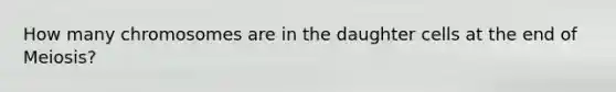 How many chromosomes are in the daughter cells at the end of Meiosis?