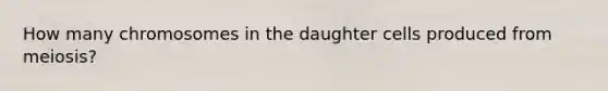 How many chromosomes in the daughter cells produced from meiosis?