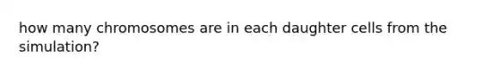 how many chromosomes are in each daughter cells from the simulation?