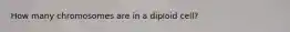 How many chromosomes are in a diploid cell?