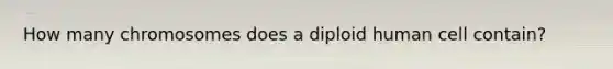 How many chromosomes does a diploid human cell contain?