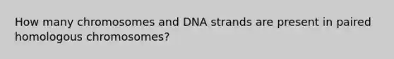 How many chromosomes and DNA strands are present in paired homologous chromosomes?