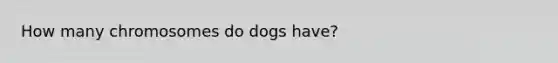 How many chromosomes do dogs have?