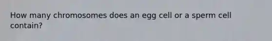 How many chromosomes does an egg cell or a sperm cell contain?