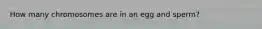 How many chromosomes are in an egg and sperm?