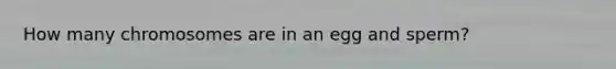 How many chromosomes are in an egg and sperm?