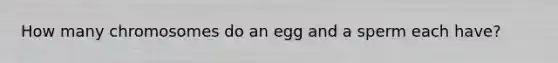 How many chromosomes do an egg and a sperm each have?