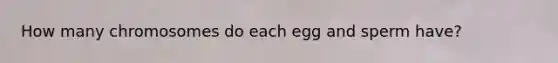 How many chromosomes do each egg and sperm have?