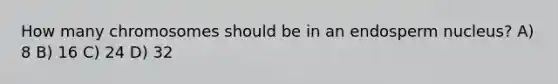 How many chromosomes should be in an endosperm nucleus? A) 8 B) 16 C) 24 D) 32