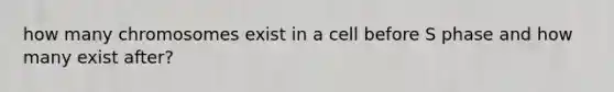 how many chromosomes exist in a cell before S phase and how many exist after?