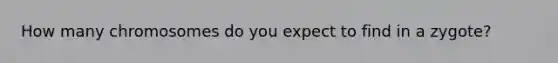 How many chromosomes do you expect to find in a zygote?