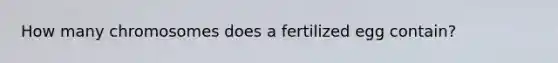 How many chromosomes does a fertilized egg contain?