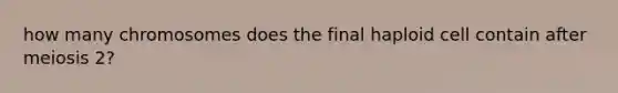 how many chromosomes does the final haploid cell contain after meiosis 2?