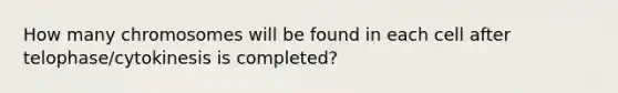 How many chromosomes will be found in each cell after telophase/cytokinesis is completed?