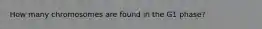 How many chromosomes are found in the G1 phase?