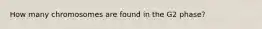 How many chromosomes are found in the G2 phase?