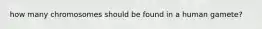 how many chromosomes should be found in a human gamete?