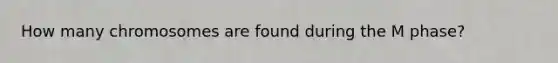 How many chromosomes are found during the M phase?