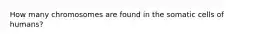 How many chromosomes are found in the somatic cells of humans?
