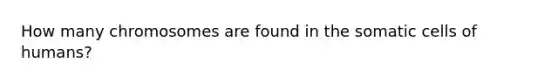 How many chromosomes are found in the somatic cells of humans?