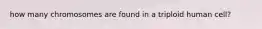 how many chromosomes are found in a triploid human cell?