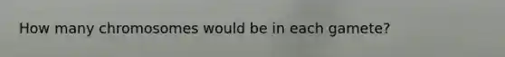How many chromosomes would be in each gamete?