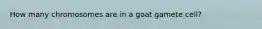 How many chromosomes are in a goat gamete cell?