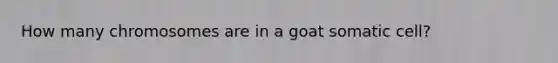 How many chromosomes are in a goat somatic cell?