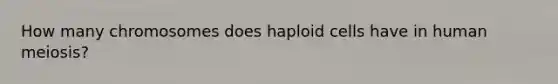 How many chromosomes does haploid cells have in human meiosis?