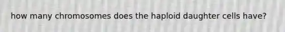 how many chromosomes does the haploid daughter cells have?