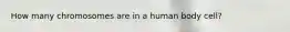 How many chromosomes are in a human body cell?