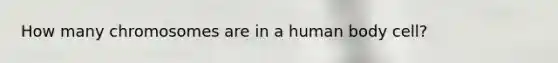 How many chromosomes are in a human body cell?