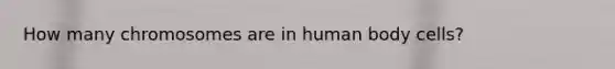 How many chromosomes are in human body cells?