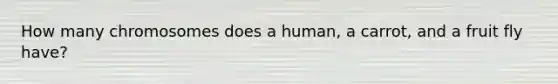 How many chromosomes does a human, a carrot, and a fruit fly have?