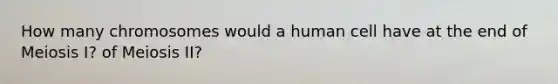 How many chromosomes would a human cell have at the end of Meiosis I? of Meiosis II?