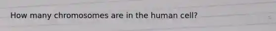 How many chromosomes are in the human cell?