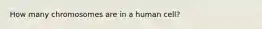 How many chromosomes are in a human cell?