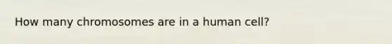 How many chromosomes are in a human cell?