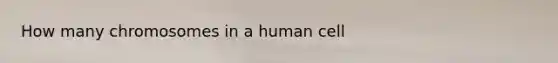 How many chromosomes in a human cell