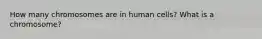 How many chromosomes are in human cells? What is a chromosome?