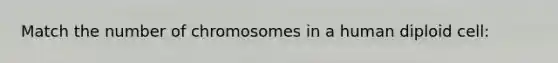 Match the number of chromosomes in a human diploid cell: