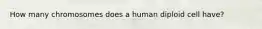 How many chromosomes does a human diploid cell have?