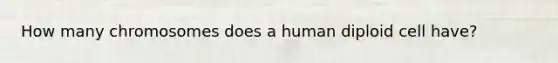 How many chromosomes does a human diploid cell have?