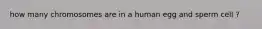 how many chromosomes are in a human egg and sperm cell ?