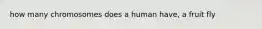 how many chromosomes does a human have, a fruit fly