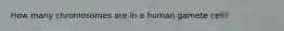 How many chromosomes are in a human gamete cell?